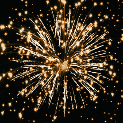 Салют РС9505 Полтава 1,5 х 25 залпов