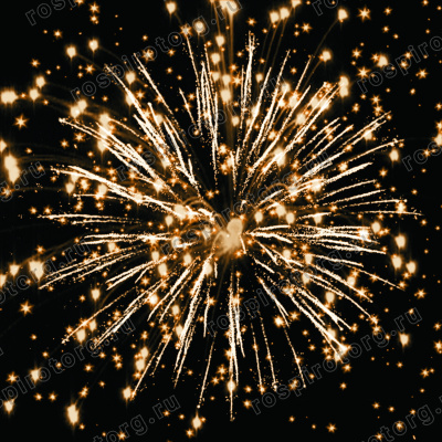 Салют РС9505 Полтава 1,5 х 25 залпов