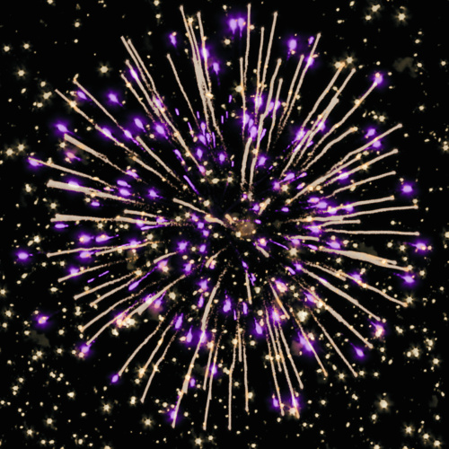 Фейерверк РС7360 49 попугаев+1 1,0 х 50 залпов