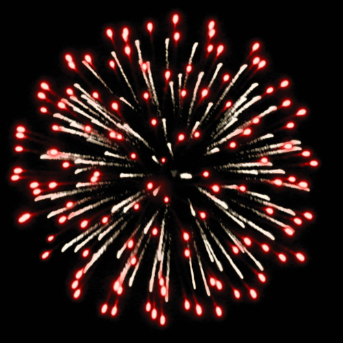 Фейерверк РС9290 Профессиональный 0,8, 1, 1,2 х 578 залпов