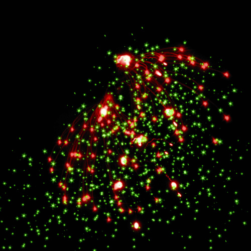 Фейерверк РС8980 Налог на роскошь 1,25 х 300 залпов