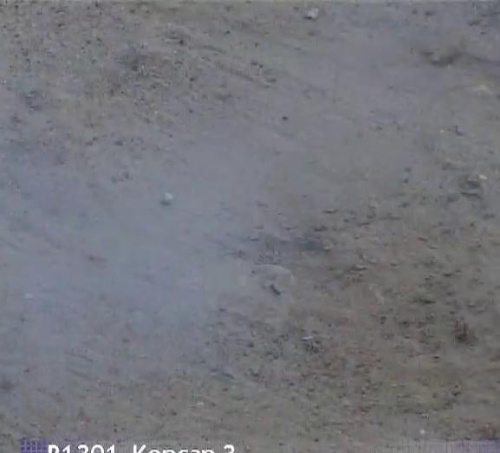 Петарды Р1301 Корсар 3 (1 уп.*10 шт) Русский фейерверк