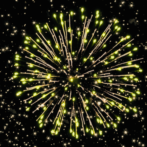 Фейерверк РС7360 49 попугаев+1 1,0 х 50 залпов