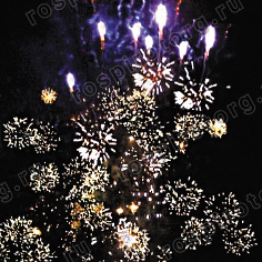 Фейерверк Р7008 Бешеный страус ( 0.3 * 100 )