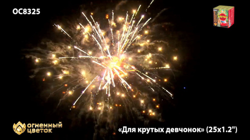 Фейерверк ОС8326 Для крутых девчонок 1,1 х 25 залпов НОВЫЙ ЭФФЕКТ 2022/23 Фейерверк ОС8326 Для крутых девчонок 1,1 х 25 залпов НОВЫЙ ЭФФЕКТ 2022/23