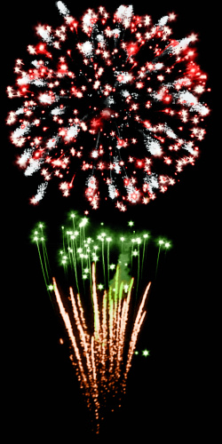 Фейерверк РС8892 Турболион 1,25 х 100 залпов