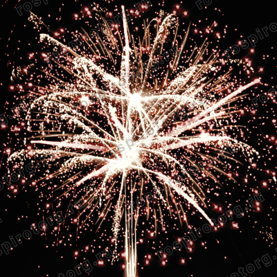 Фейерверк РС8840 Райский сад (1,25 х 100 залпов) Русская пиротехника