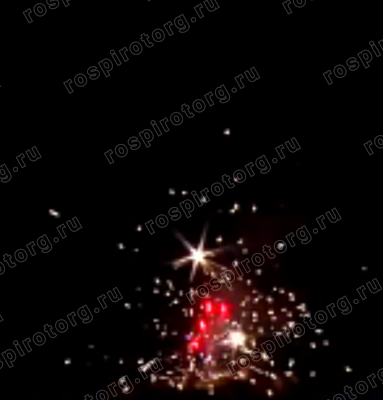 Фейерверк + фонтан Р6780 Торт с сюрпризом: 1 х 9 залпов