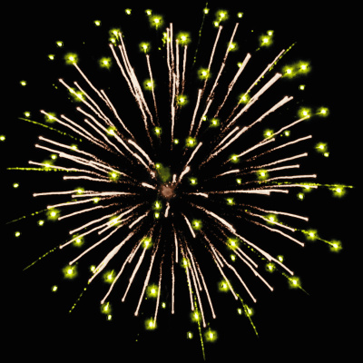 Фейерверк РС8880 Золотые пальмы 1,25 х 100 залпов