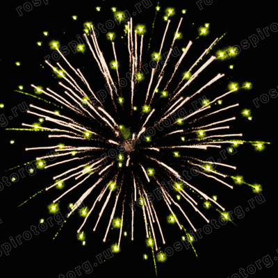 Фейерверк РС8880 Золотые пальмы 1,25 х 100 залпов
