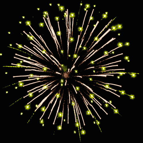 Фейерверк РС8880 Золотые пальмы 1,25 х 100 залпов