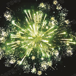 Фейерверк ЕС465 КРУТЫШ (1” х 25 залпов) Русская пиротехника