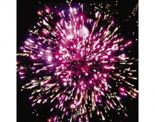 Салют Р7302 Жар-птица 0,8*25 залпов Русский фейерверк Салют Р7302 Жар-птица 0,8*25 залпов Русский фейерверк