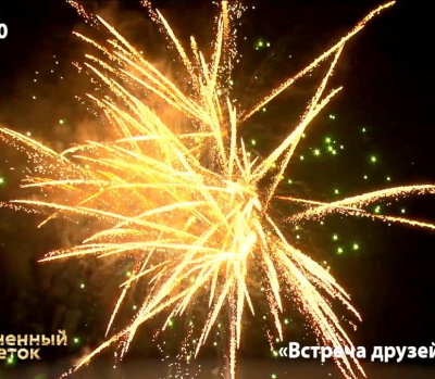 Фейерверк ОС8541 Встреча друзей 1,1 х 48 залпов Фейерверк ОС8541 Встреча друзей 1,1 х 48 залпов