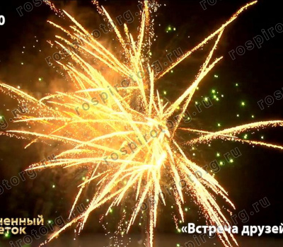 Фейерверк ОС8541 Встреча друзей 1,1 х 48 залпов Фейерверк ОС8541 Встреча друзей 1,1 х 48 залпов