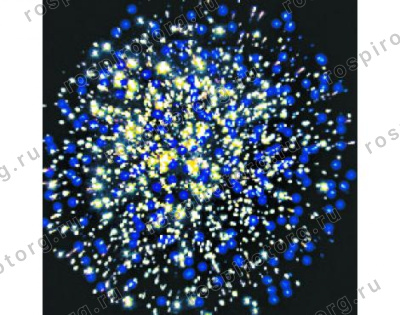 Римская свеча Р5800 Альтаир 8 залпов