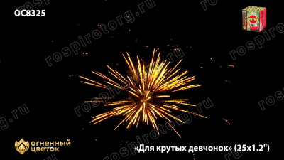Фейерверк ОС8326 Для крутых девчонок 1,1 х 25 залпов НОВЫЙ ЭФФЕКТ 2022/23 Фейерверк ОС8326 Для крутых девчонок 1,1 х 25 залпов НОВЫЙ ЭФФЕКТ 2022/23