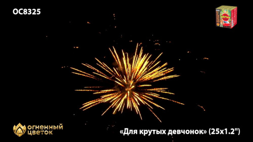 Фейерверк ОС8326 Для крутых девчонок 1,1 х 25 залпов НОВЫЙ ЭФФЕКТ 2022/23 Фейерверк ОС8326 Для крутых девчонок 1,1 х 25 залпов НОВЫЙ ЭФФЕКТ 2022/23