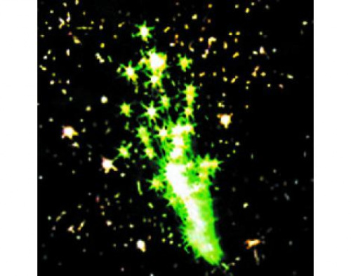 Фейерверк Ракеты Р2300 Ассорти (1 уп. х 6 шт) х 6 залпов