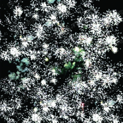 Салют Р7216 Под шашлычок 0,8 х 19 залпов Русский фейерверк