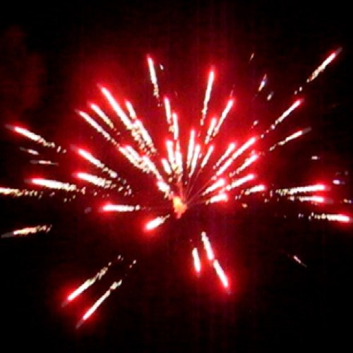 Римская свеча Р5720 Магнолия 8 залпов