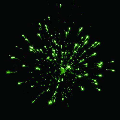 Фейерверк римская свеча РС5720 Южный крест: 0,8 х 40 залпов