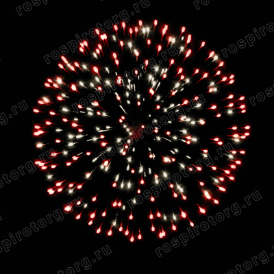 Римские свечи УПАКОВКА 2 шт Белые лебеди РС5290: (0,8 х 12 залпов) Русская пиротехника