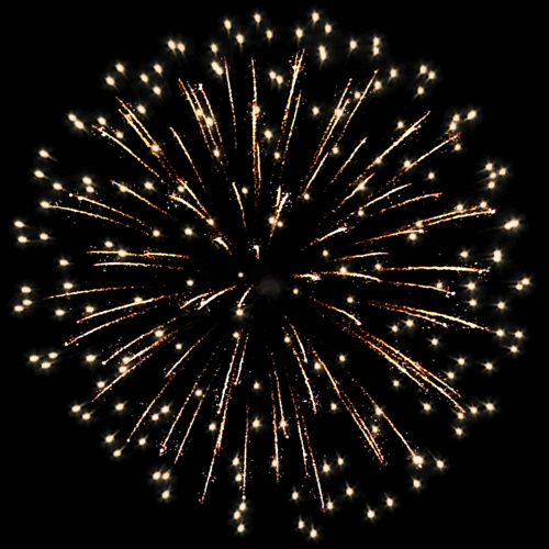 Фейерверк РС9290 Профессиональный 0,8, 1, 1,2 х 578 залпов