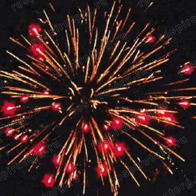 Салют Р7205 Иван-Царевич 0,8 х 13