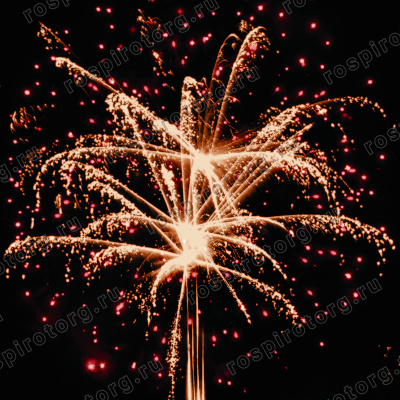 Римская свеча РС5592 Золотое руно 1,2 х 10 залпов