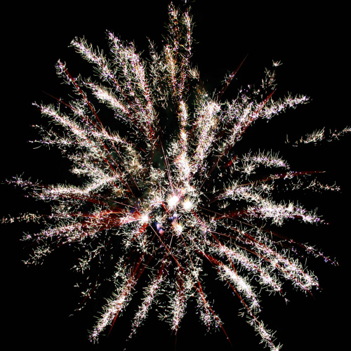 Фейерверк РС7122 Жемчужное сияние: 1 х 25 залпов