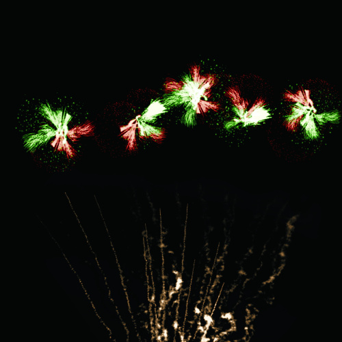 Фейерверк РС9237 Жизнь прекрасна! 0,8, 1, 1,2 х 274 залпа