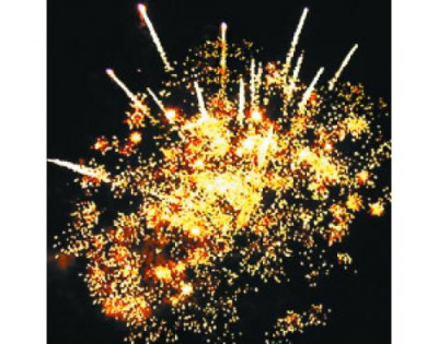 Римская свеча Р5726 Хризантема:1,2 х 8 залпов (1 шт) Русский фейерверк