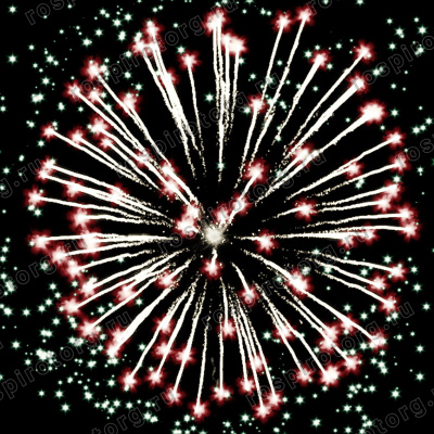 Фейерверк РС6250 Веселый пиротехник: (0,8 х 9 залпов) Русская пиротехника