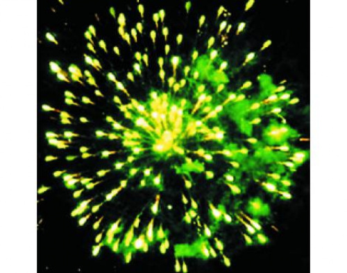 Фейерверк ЕС440 Полный песец: 1 х 19 залпов