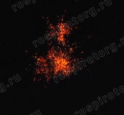 Римские свечи РК5004 Тридцаточка 1 шт (0,3 х 30 залпов) Русская пиротехника