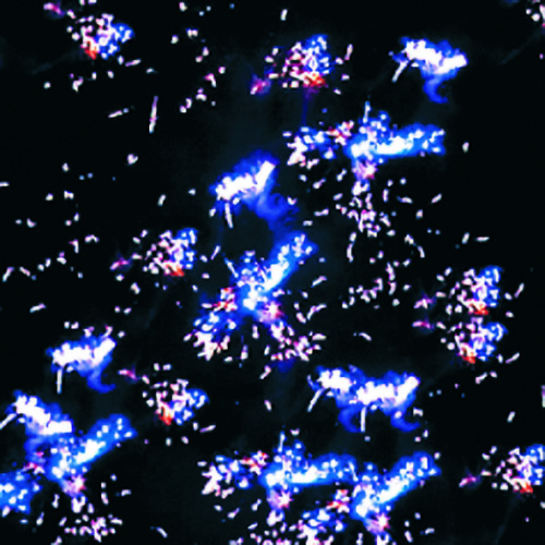 Фейерверк Р7551 Салютище 1" х 200 залпов