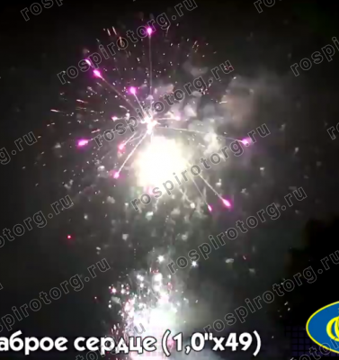 Фейерверк Р7518 Храброе сердце: 1 х 49 залпов