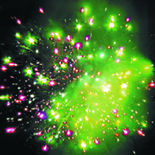 Салют Р7067 Стрекоза 0,8 х 16 залпов