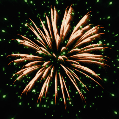 Римская свеча РС5592 Золотое руно 1,2 х 10 залпов