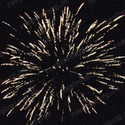 Салют Р7205 Иван-Царевич 0,8 х 13