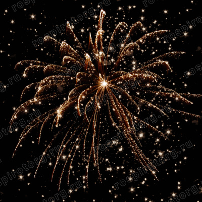 Римская свеча РС5592 Золотое руно 1,2 х 10 залпов