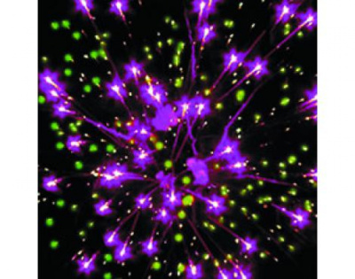 Фейерверк Р7471 ZORRO 1,0 х 19 залпов