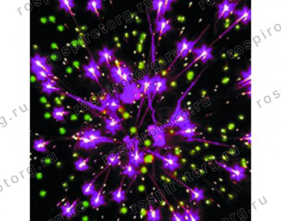 Фейерверк Р7471 ZORRO 1,0 х 19 залпов