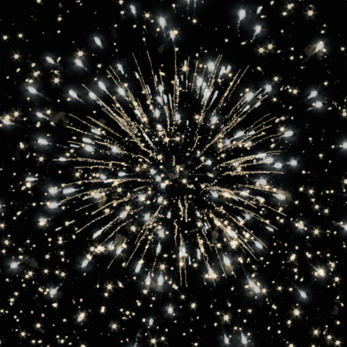 Фейерверк РС7360 49 попугаев+1 1,0 х 50 залпов