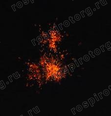 Римские свечи УПАКОВКА 12 шт Тридцаточка РК5004 (0,3 х 30 залпов) Русская пиротехника Римские свечи УПАКОВКА 12 шт Тридцаточка РК5004 (0,3 х 30 залпов) Русская пиротехника