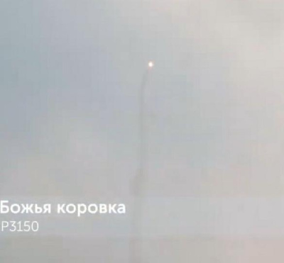 Летающая петарда Р3150 Божья коровка (1 уп.*2 шт.) Русский фейерверк