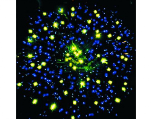 Фейерверк ЕС650 Новогодняя шумиха: 1,25 х 20 залпов