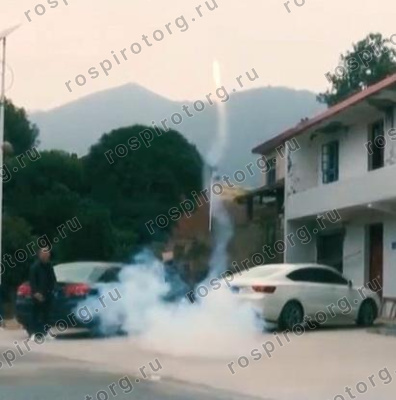 Летающая петарда Р3150 Божья коровка (1 уп.*2 шт) Русский фейерверк