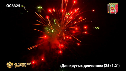 Фейерверк ОС8326 Для крутых девчонок 1,1 х 25 залпов НОВЫЙ ЭФФЕКТ 2022/23 Фейерверк ОС8326 Для крутых девчонок 1,1 х 25 залпов НОВЫЙ ЭФФЕКТ 2022/23